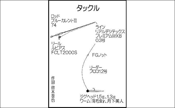 夜の陸っぱりメバリングで良型26cm2匹キャッチ　テトラ際でヒット