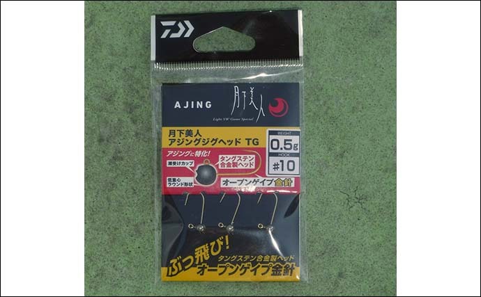 【2022年】東京湾バチコンアジング入門　タックル・仕掛け・釣り方