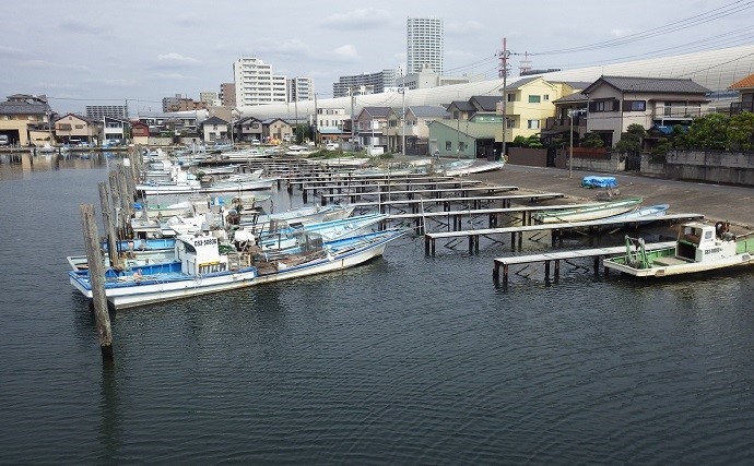 デキハゼ狙って3時間で78匹　「見釣り」で入れ食い堪能【千葉・船橋港】