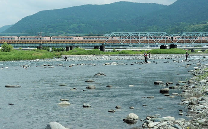 【2022年】おすすめアユ友釣り場：神奈川・酒匂川　様々な流れが特徴