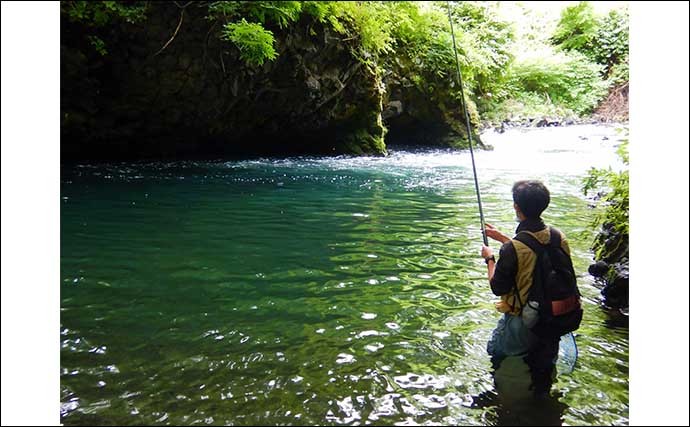 放流直後の桂川で渓流エサ釣り　51cmニジマス含み4魚種22尾キャッチ