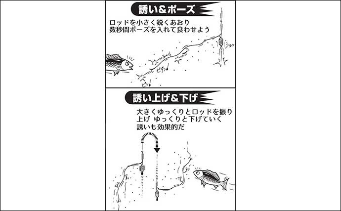 船イサキ釣り入門 【竿＆リール選び・エサ・釣果伸びる誘い方を解説】