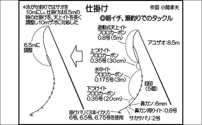 大分県大山川でのアユトモ釣りで本命29尾 午前好調も午後の強風に苦戦