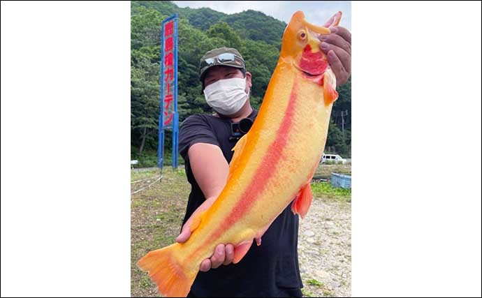 鹿島槍ガーデンでのエリアトラウト釣行で60cmアルビノ頭に大型魚激釣