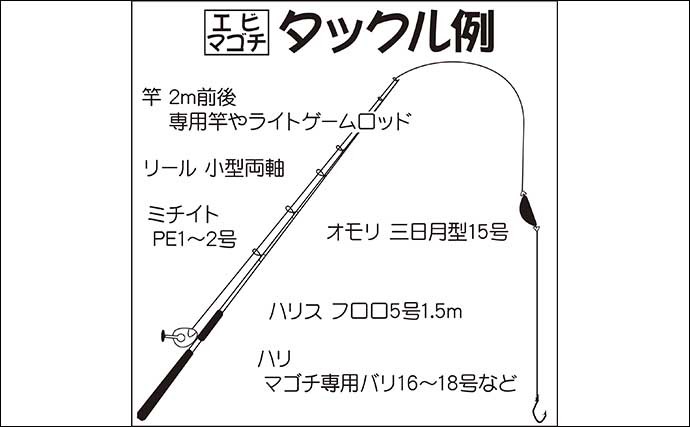 【2022年】東京湾エビマゴチ釣り入門　基本タックル・釣り方・釣況