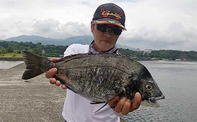 堤防フカセ釣りで55cm大型チヌ手中　好ゲストに54cmマダイも浮上