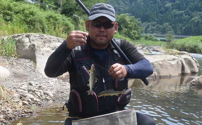 鮎トモ釣りで満足釣果　今後は良型の天然遡上モノに期待【兵庫・湯舟川】