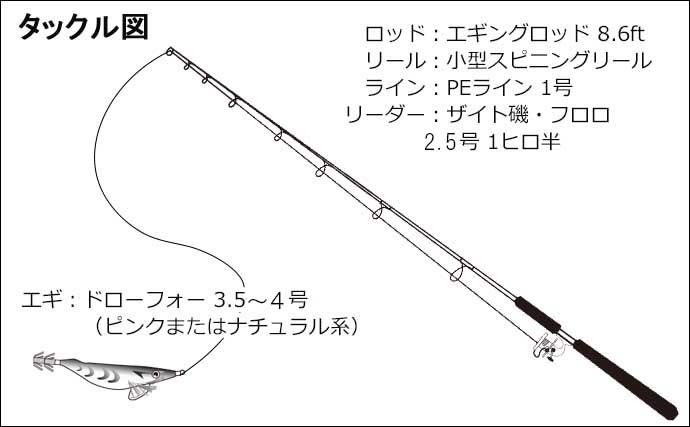 地磯エギング釣行でキロ級含めミズイカ（アオリイカ）連打の好機突入