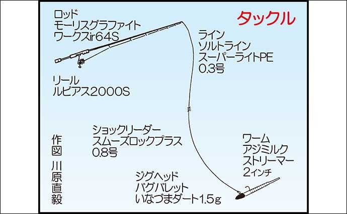 周防大島で春のライトゲーム開幕　常夜灯周りを探り20cm級アジ好捕