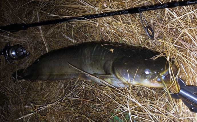 都会の大河川「多摩川」で釣りを楽しもう　【狙える魚種と釣り方を解説】