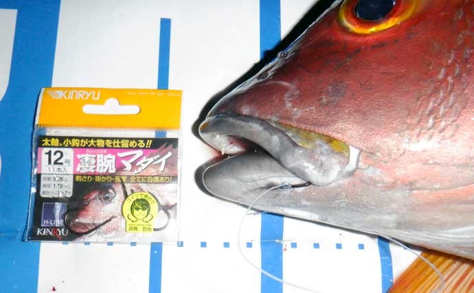 夜の沖磯「ブッ込み釣り」で53cm頭にシブダイ連打に満足【鹿児島】