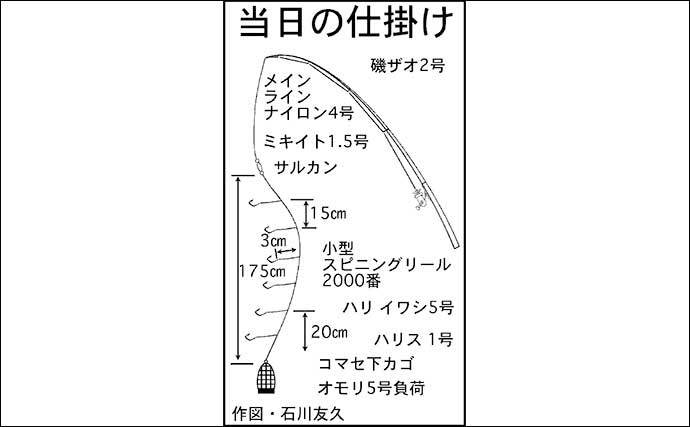 碧南釣り広場でのサビキ釣りでサッパ69匹　夜明けの時合いに入れ食い