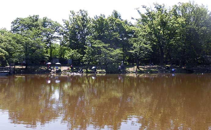 今週のヘラブナ推薦釣り場【埼玉県・太田ヶ谷沼】