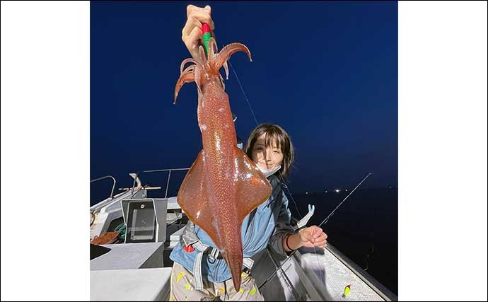 【玄界灘】夜焚きイカの最新釣果　良型顔出しで今後の夏シーズンに期待