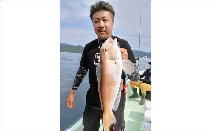 【三重】沖釣り最新釣果 旬のイサキ釣りで良型ぞろいクーラー満タン