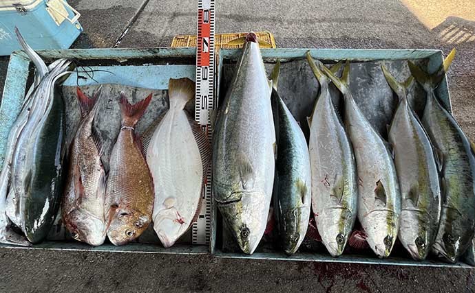 活アジ泳がせ釣りで90cmブリにヒラメ　手巻きリールで強引堪能