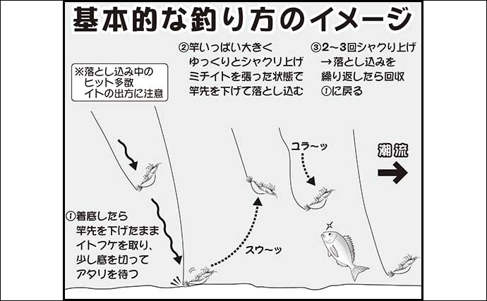 ひとつテンヤマダイ釣り攻略　タックル・釣り方・誘いパターンを解説