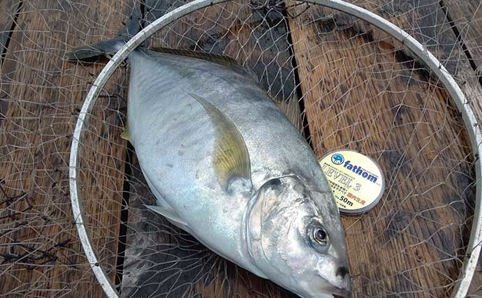 海上釣り堀でシマアジ手中　現地調達の小サバ泳がせが最強？【静岡】