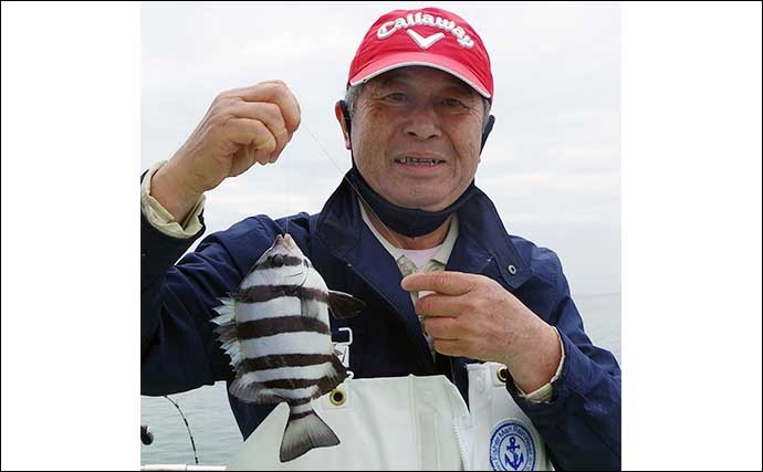 相模湾タイ五目釣りで多彩魚種　マダイ他クロダイにメジナにイシダイ