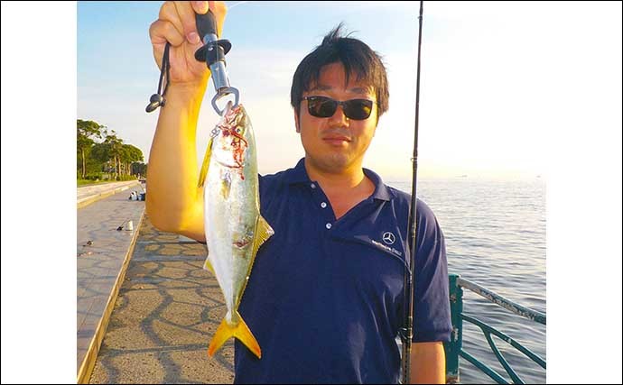 横須賀海辺釣り公園で夏の魚賑やか　タチウオ不発も満喫【神奈川】