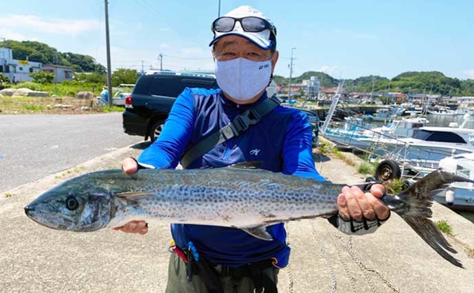 【愛知】沖釣り最新釣果　良型サワラ絶讃回遊中にマダコ好調で２桁釣果