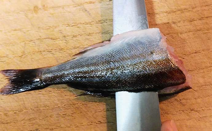 釣り人的「疲労回復」レシピ：イサキの酢の物　残った刺身アレンジにも