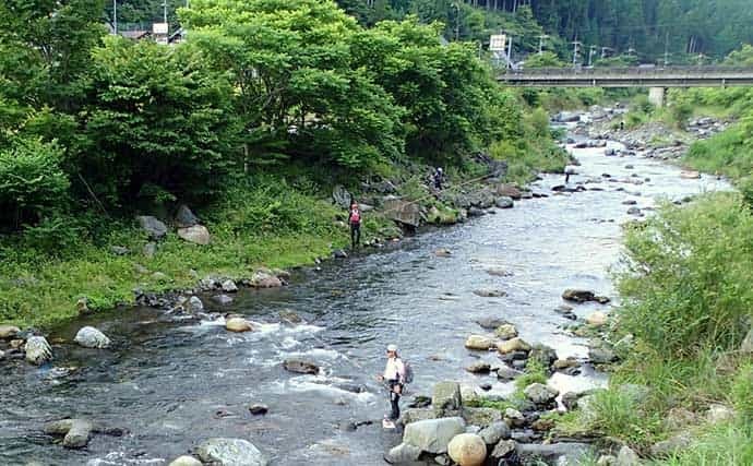 解禁日の葛川アユ友釣りで16匹 各人気エリアの状況もレポート