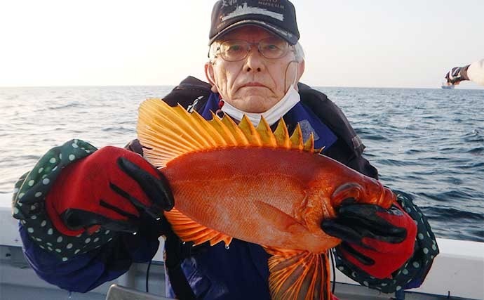 イサキ五目釣りで釣果多彩　丁寧なタナ取りでイシダイやネリゴも