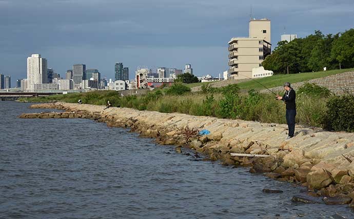 都市近郊での釣り入門にチニングが向いているワケ６選 手軽さが魅力