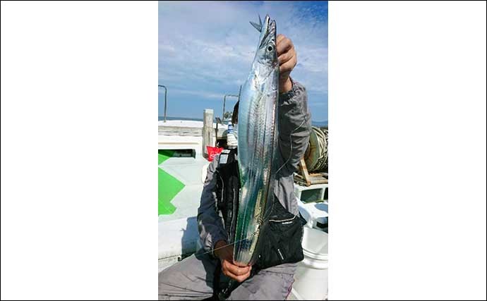 【大分・熊本】沖釣り最新釣果　「ドラゴンサイズ」タチウオ各地で顔出し