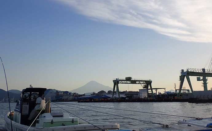 清水港カセ釣りでクロダイに大型メジナ連発　想定外のシマアジも顔出し