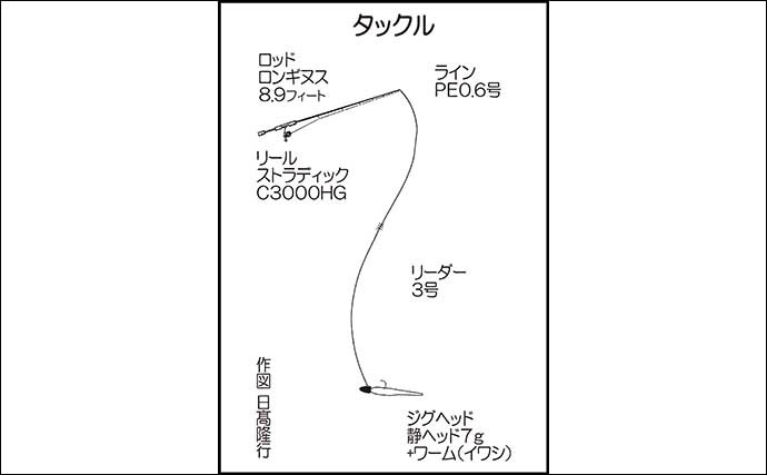 ルアーシーバスゲームで珍事？　本命不発もワームでアオリイカ800g