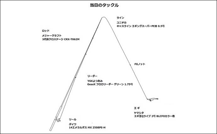 新子アオリイカエギングで本命11杯　ブラインドでもサイトでもヒット