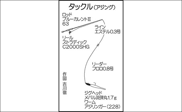 日中のアジング＆イカメタルゲームで両本命キャッチ【佐賀・Wingar】