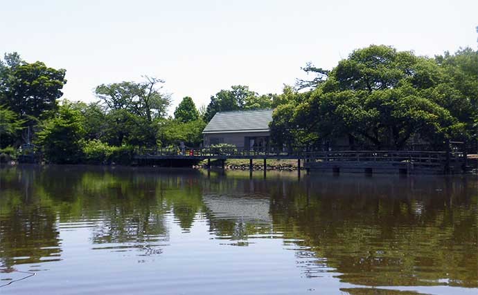 今週のヘラブナ推薦釣り場【埼玉県・太田ヶ谷沼】