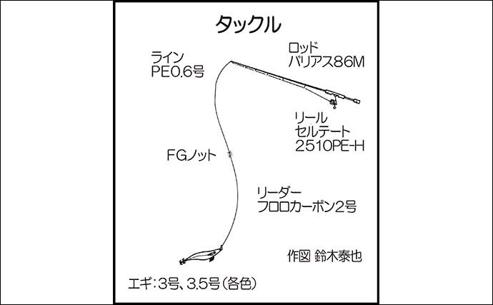 陸っぱりエギングでヤリイカ＆アオリイカ合わせて9尾キャッチ成功