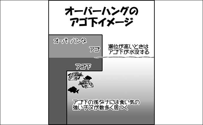 チヌ落とし込み（ヘチ釣り）解説　エサの使い分けが釣果UPの鍵