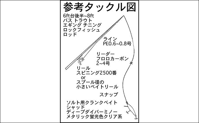 【2022年】キジハタプラッギング入門　メリットと具体的な釣り方を解説