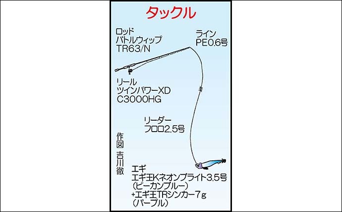 ティップランエギングで800gアオリイカ2尾 春特有のアタリで手中