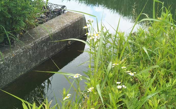 雨天のシーバスフィッシング攻略　釣果につながる釣り方と注意点を解説