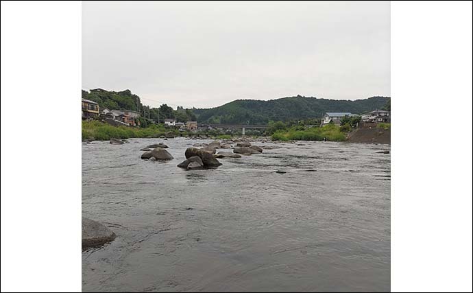 大分県大山川でのアユトモ釣りで本命29尾 午前好調も午後の強風に苦戦