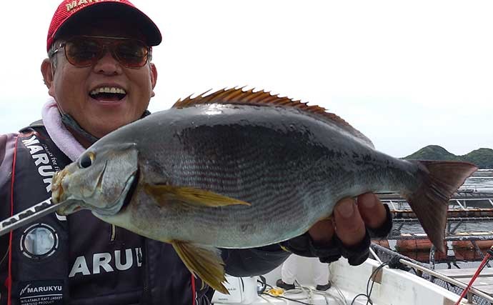 良型イサギ狙いカカリ釣り　さしエサ変更が当たり40cm超手中【愛媛】