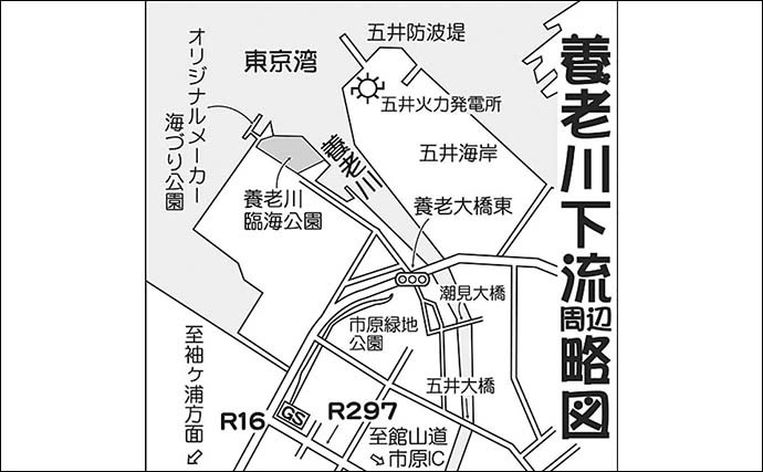 『前打ち』で狙うクロダイ釣り　実績場で粘り本命37cmキャッチ