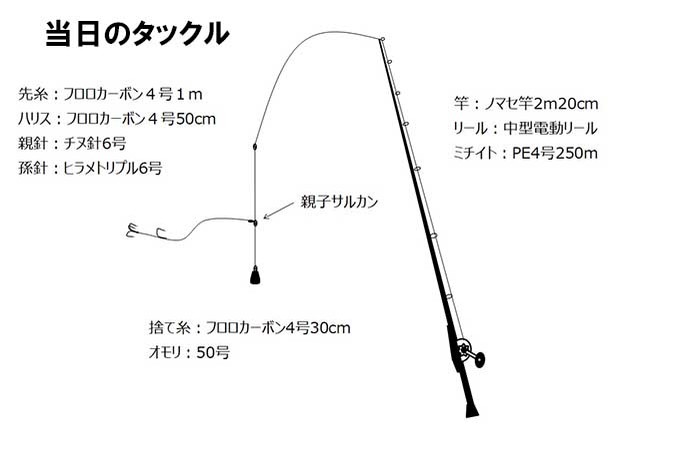 ライトタックル泳がせ五目釣りが手軽で楽しい【新潟・こうゆう丸】