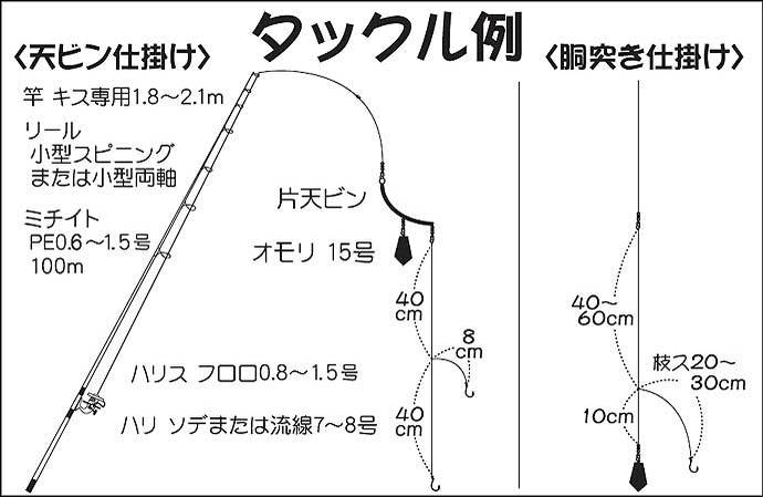 【東京湾2021】船キス釣りの基本　初心者～上級者まで楽しめ釣果安定