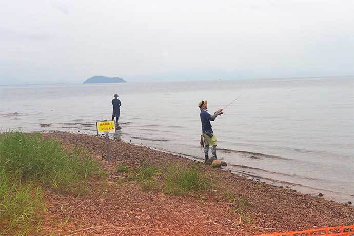 琵琶湖＆流入河川でハスゲーム堪能 小アユ釣りとセットで楽しさ倍増