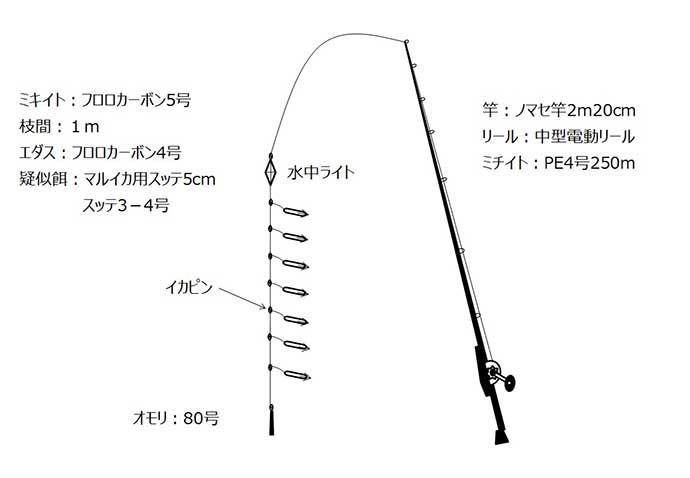 上越ムギイカ開幕戦で16杯　トップ60杯と大差がついた3つの理由とは？