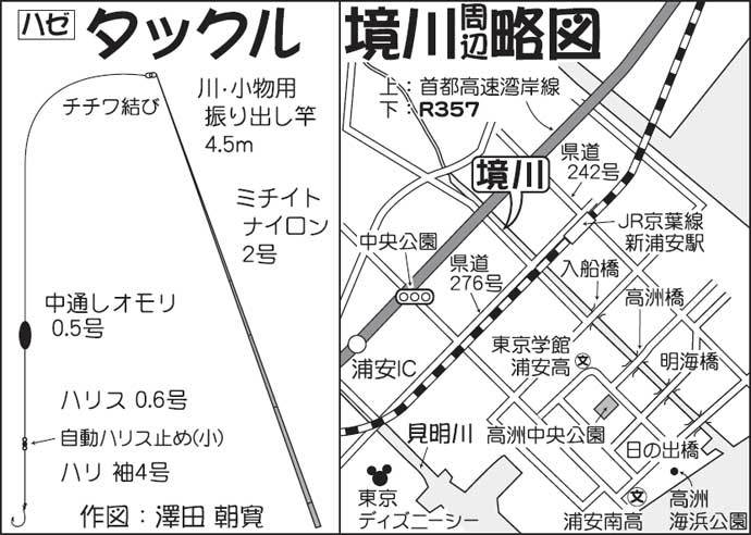 最盛期迎えた「陸っぱりハゼ釣り」満喫　河川＆漁港で本命78尾キャッチ