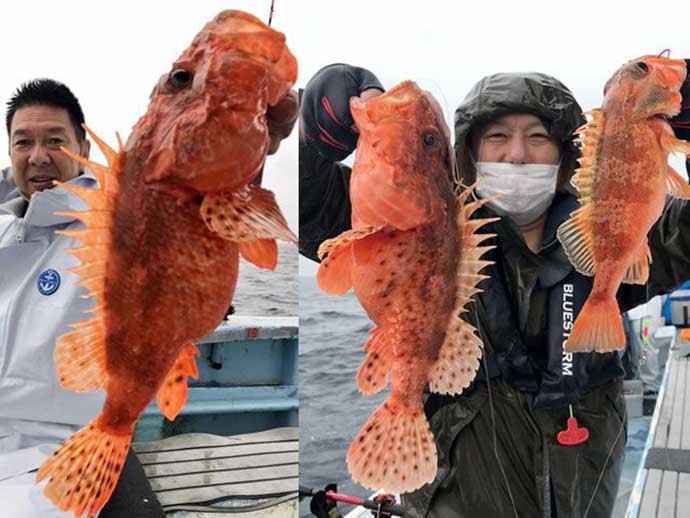 週末ナニ釣れた？沖釣り速報：茨城のアカムツ船で本命続々【関東】