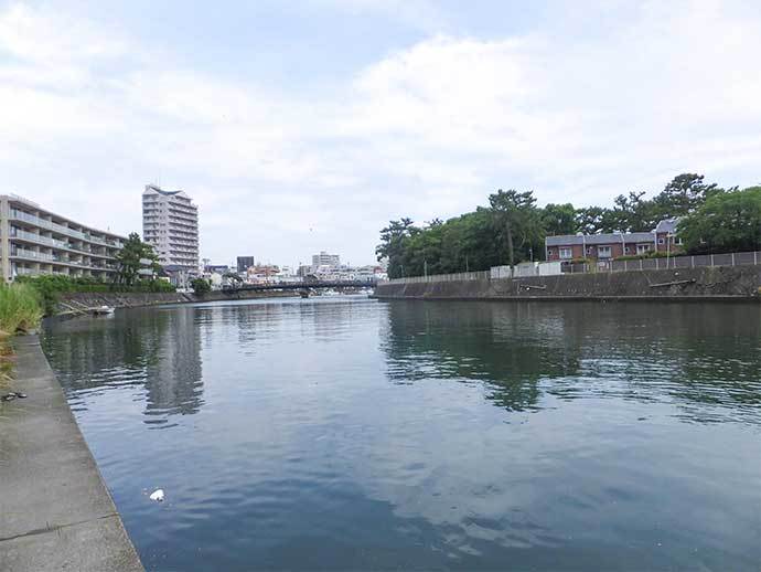 ハゼ＆テナガエビの好釣り場紹介：横浜〜藤沢市【神奈川】